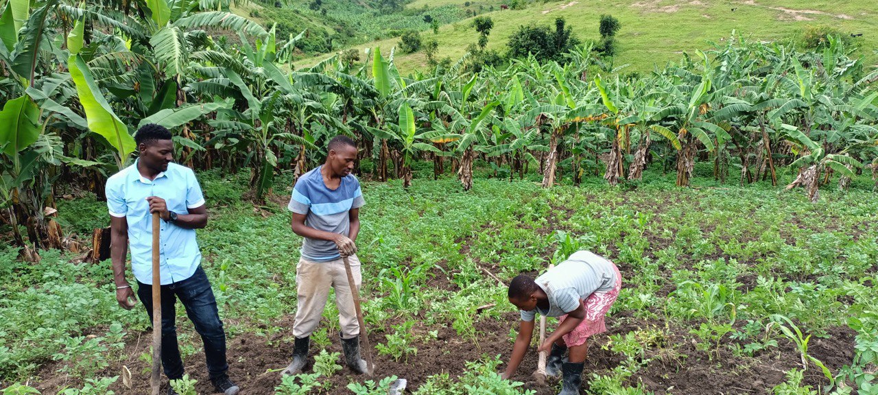 Youth Training About Sustainability